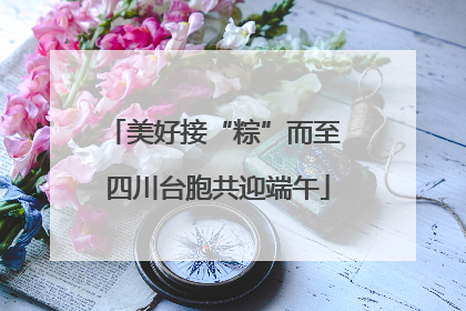 美好接“粽”而至 四川台胞共迎端午