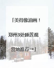 美得像油画！郑州3处睡莲观赏地推荐→