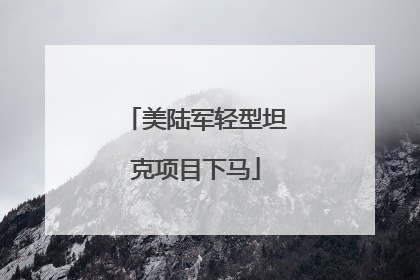 美陆军轻型坦克项目下马