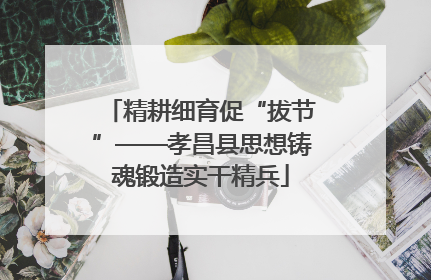 精耕细育促“拔节”——孝昌县思想铸魂锻造实干精兵