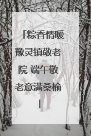 粽香情暖豫灵镇敬老院 端午敬老意满桑榆