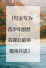 红安专为青少年的禁毒课在庭审现场开讲