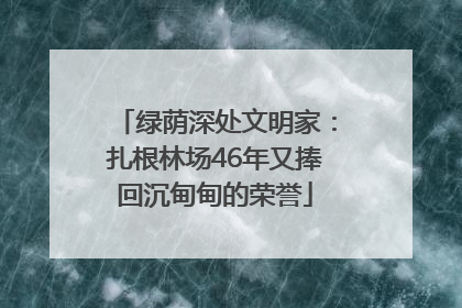 绿荫深处文明家：扎根林场46年又捧回沉甸甸的荣誉