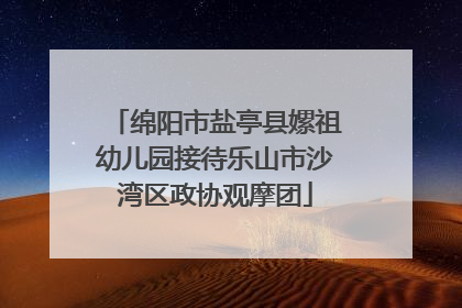 绵阳市盐亭县嫘祖幼儿园接待乐山市沙湾区政协观摩团