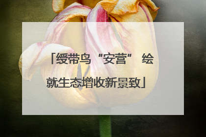 绶带鸟“安营” 绘就生态增收新景致