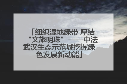 细织湿地绿带 厚结“文旅明珠”——中法武汉生态示范城挖掘绿色发展新动能