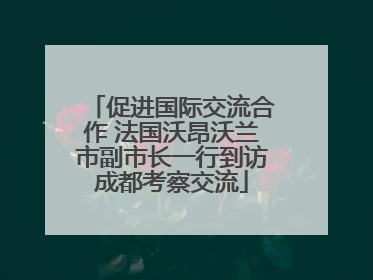 促进国际交流合作 法国沃昂沃兰市副市长一行到访成都考察交流