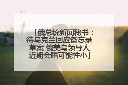 俄总统新闻秘书：待乌克兰回应备忘录草案 俄美乌领导人近期会晤可能性小