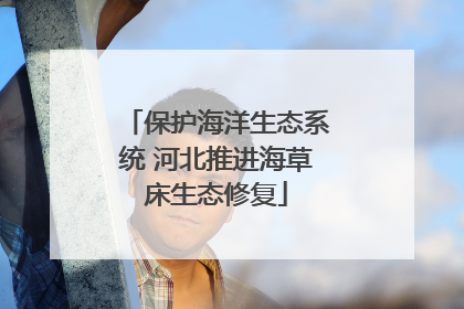 保护海洋生态系统 河北推进海草床生态修复