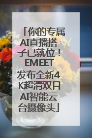你的专属AI直播搭子已就位！EMEET发布全新4K超清双目AI智能云台摄像头
