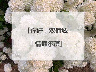 你好，双拥城｜情拥尔滨