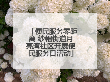 便民服务零距离 纱帽街道月亮湾社区开展便民服务日活动