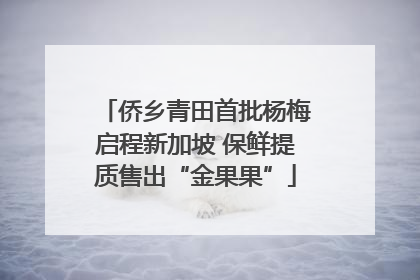 侨乡青田首批杨梅启程新加坡 保鲜提质售出“金果果”