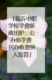 临沂中职学校学费新政出炉：公办免学费 民办收费纳入监管