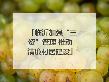 临沂加强“三资”管理 推动清廉村居建设