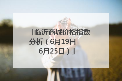 临沂商城价格指数分析（6月19日—6月25日）