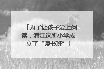 为了让孩子爱上阅读，浦江这所小学成立了“读书班”