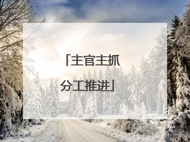 主官主抓 分工推进
