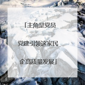 主角是党员 党建引领这家民企高质量发展