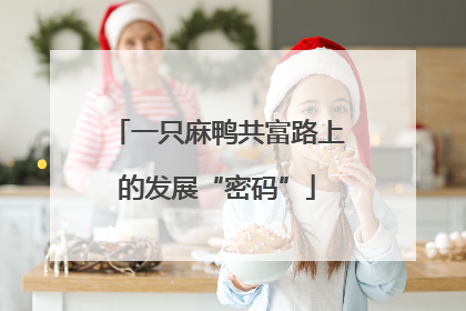 一只麻鸭共富路上的发展“密码”