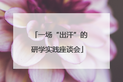 一场“出汗”的研学实践座谈会