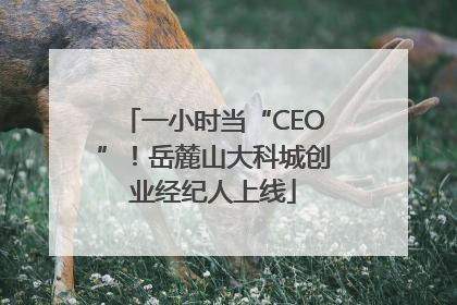 一小时当“CEO”！岳麓山大科城创业经纪人上线
