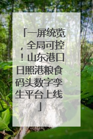 一屏统览，全局可控！山东港口日照港粮食码头数字孪生平台上线