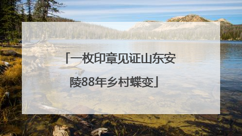 一枚印章见证山东安陵88年乡村蝶变