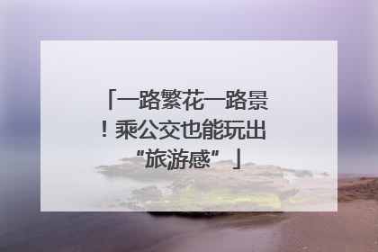 一路繁花一路景！乘公交也能玩出“旅游感”