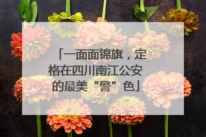 一面面锦旗，定格在四川南江公安的最美“警”色
