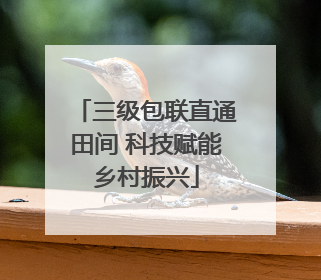 三级包联直通田间 科技赋能乡村振兴