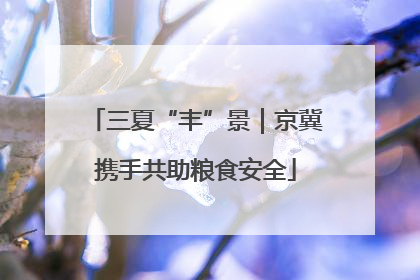 三夏“丰”景｜京冀携手共助粮食安全