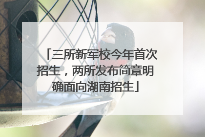 三所新军校今年首次招生，两所发布简章明确面向湖南招生