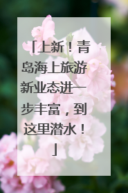 上新！青岛海上旅游新业态进一步丰富，到这里潜水！