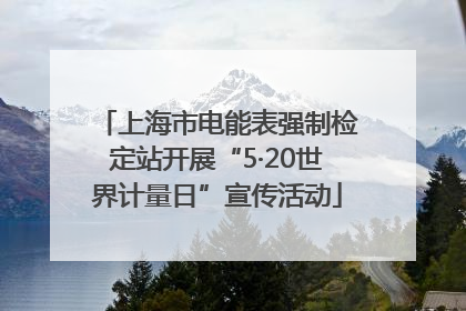上海市电能表强制检定站开展“5·20世界计量日”宣传活动