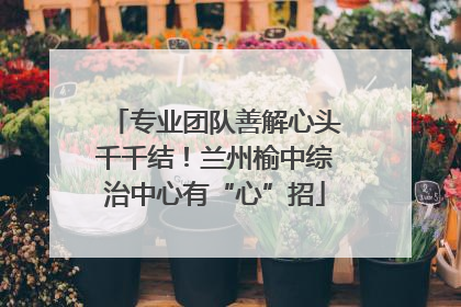 专业团队善解心头千千结！兰州榆中综治中心有“心”招