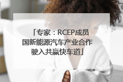 专家：RCEP成员国新能源汽车产业合作驶入共赢快车道