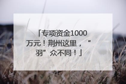 专项资金1000万元！荆州这里，“羽”众不同！