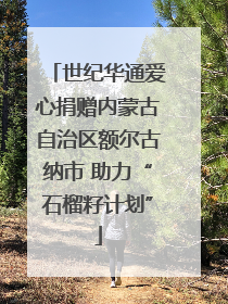 世纪华通爱心捐赠内蒙古自治区额尔古纳市 助力“石榴籽计划”