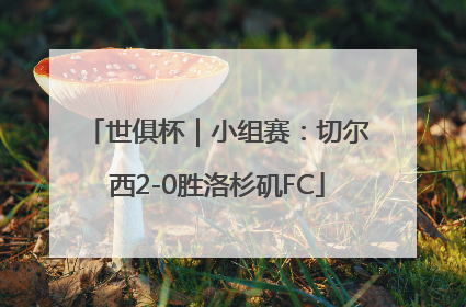 世俱杯｜小组赛：切尔西2-0胜洛杉矶FC