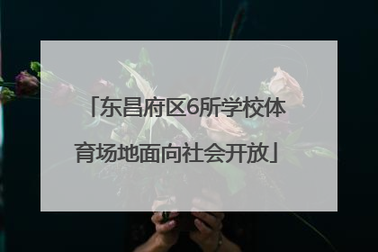 东昌府区6所学校体育场地面向社会开放