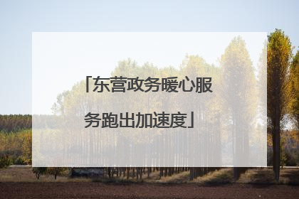 东营政务暖心服务跑出加速度