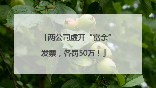 两公司虚开“富余”发票，各罚50万！