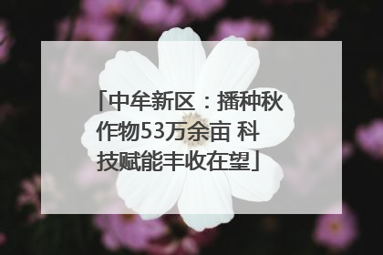 中牟新区：播种秋作物53万余亩 科技赋能丰收在望