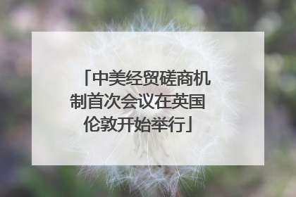 中美经贸磋商机制首次会议在英国伦敦开始举行