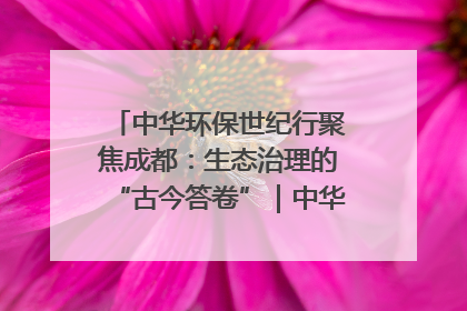 中华环保世纪行聚焦成都：生态治理的“古今答卷”｜中华环保世纪行