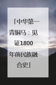 中华第一青铜马：见证1800年前民族融合史