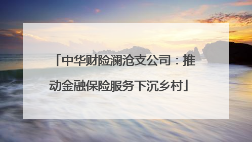 中华财险澜沧支公司：推动金融保险服务下沉乡村