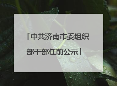 中共济南市委组织部干部任前公示
