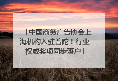中国商务广告协会上海机构入驻普陀！行业权威奖项同步落户
